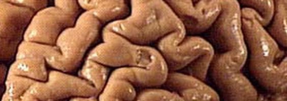 "Conservative" and "Liberal" are Heuristics, Not Ideologies