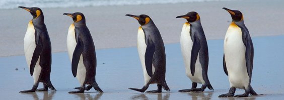 Political Philosophy Is About Norms, Not Freedom