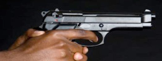 Only Outlaws Will Have Guns