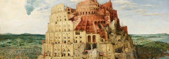 Why Wittgenstein Needs Chomsky: Language vs. the Language Faculty