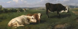 Why I Am Not a Vegetarian: Moral Value Comes from Cooperation, Not Sentience