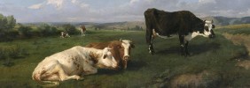 Why I Am Not a Vegetarian: Moral Value Comes from Cooperation, Not Sentience